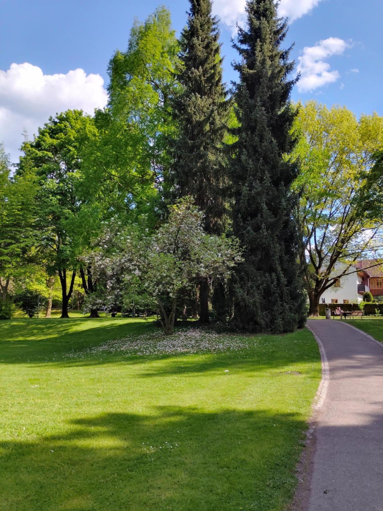 Wohnung In Leoben Zentrum Zwischen Hauptplatz Und Stadtpark Eksteriør bilde